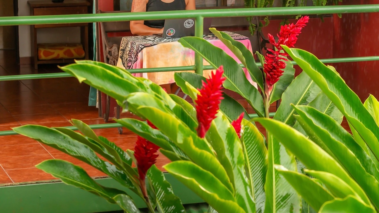 Photo of Bathroom in Nuevo Arenal