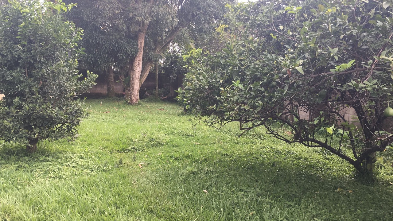 Photo of Outdoor in Cacique