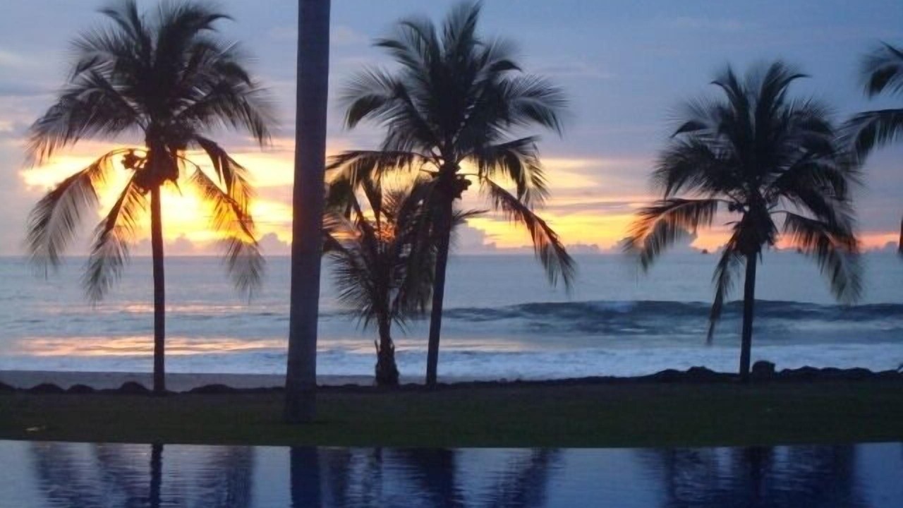 Photo of Others in Playa Flamingo