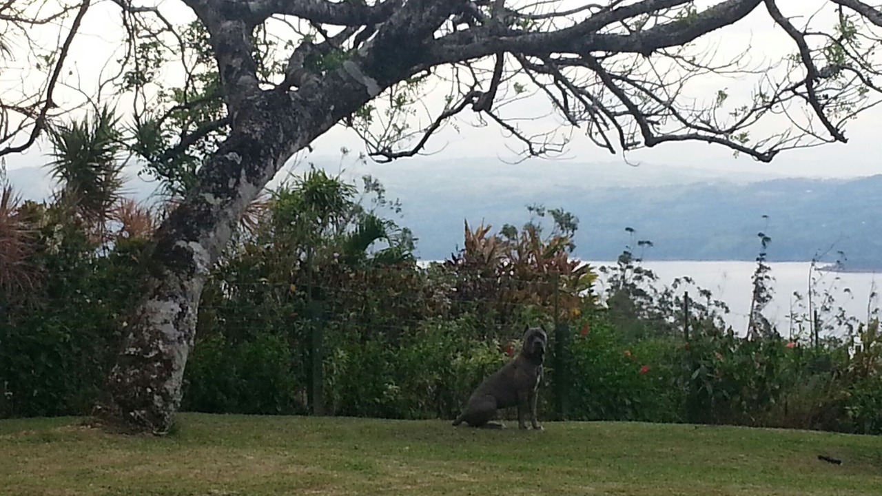 Photo of Outdoor in Tierras Morenas