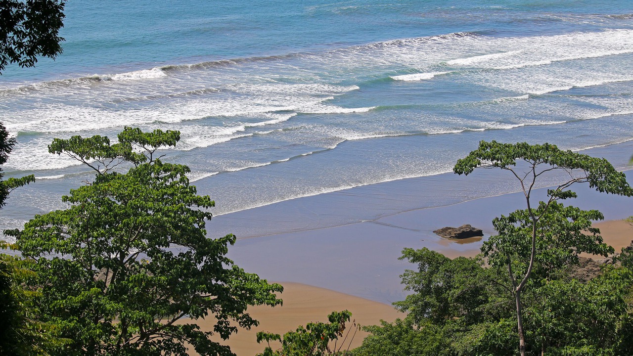 Photo of Others in Dominical
