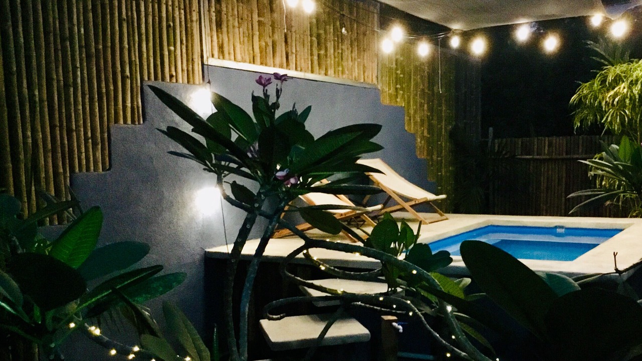 Photo of Outdoor in Puerto Jimenez