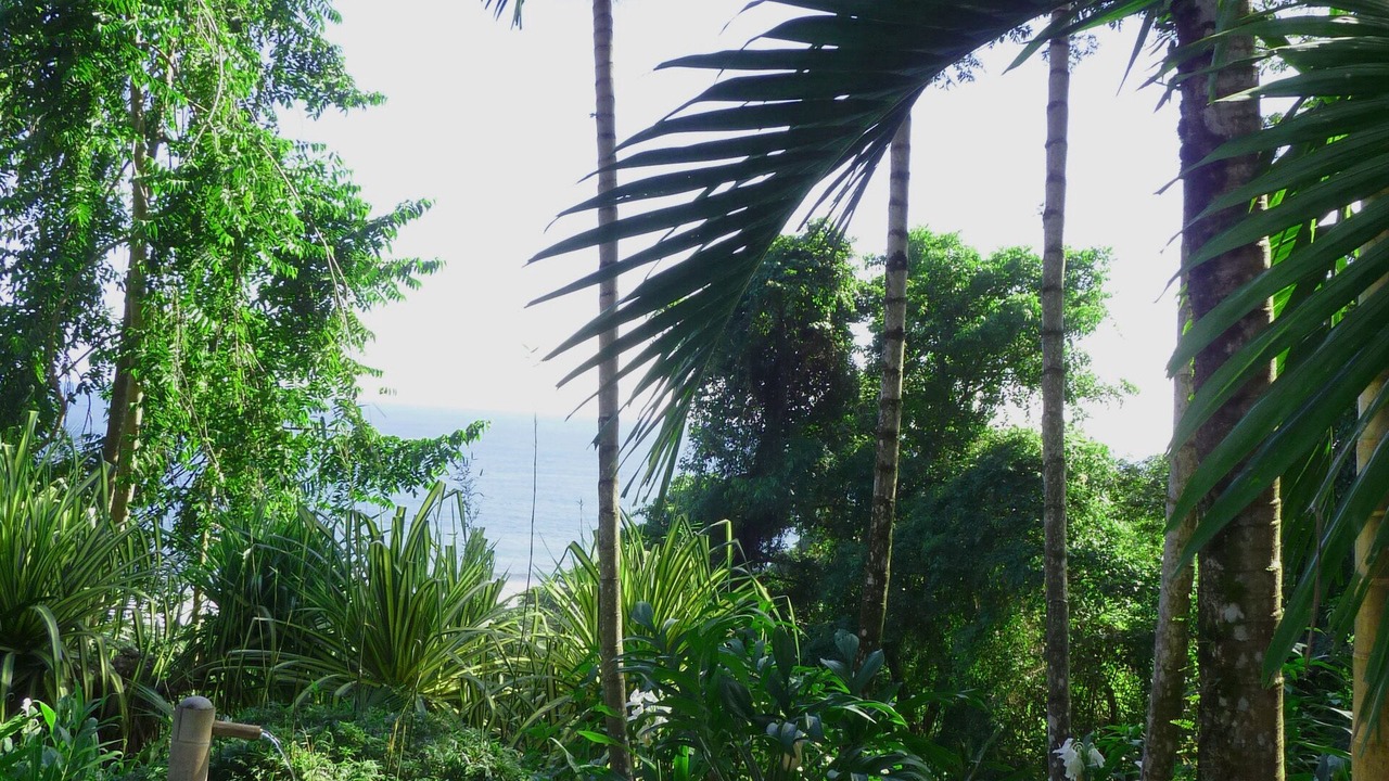 Photo of Outdoor in Carate