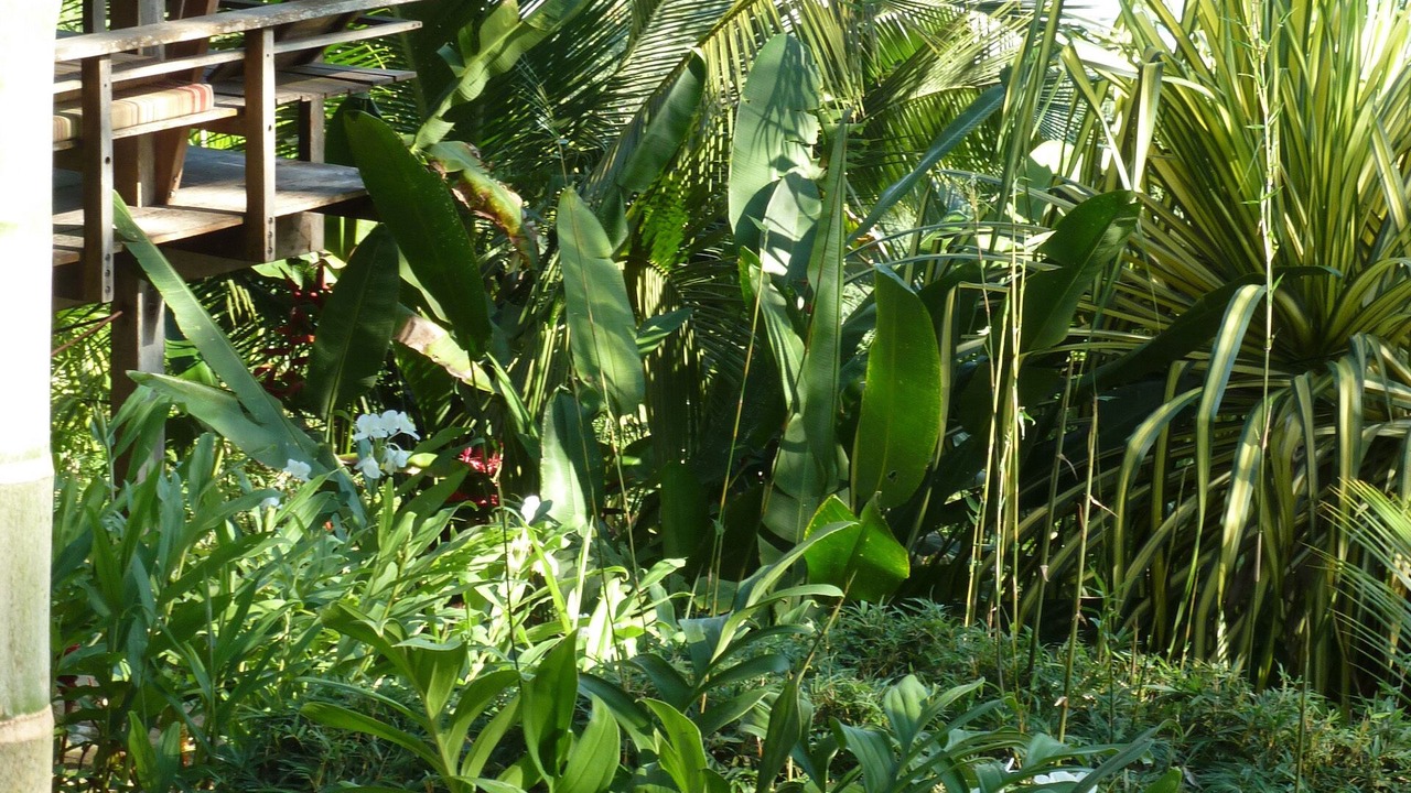 Photo of Outdoor in Carate
