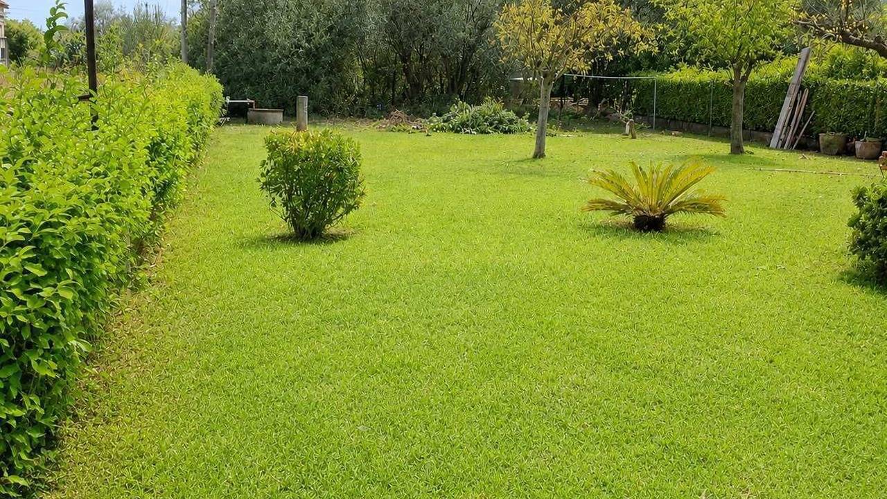 Photo of Outdoor in Ayia Anna
