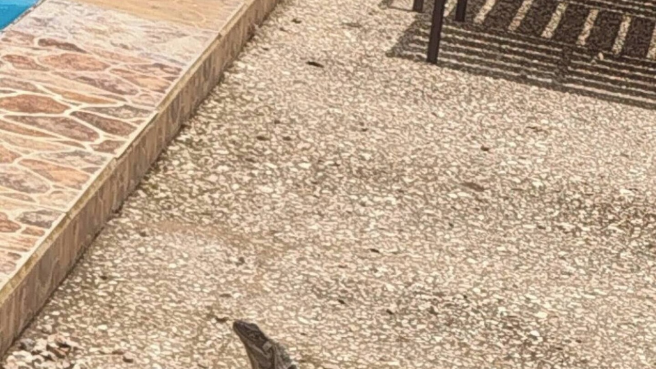 Photo of Outdoor in Santa Barbara