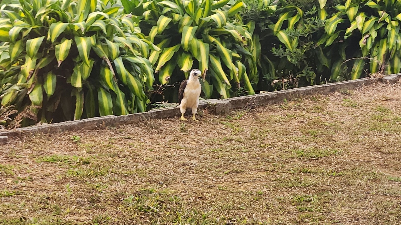 Photo of Others in Garabito