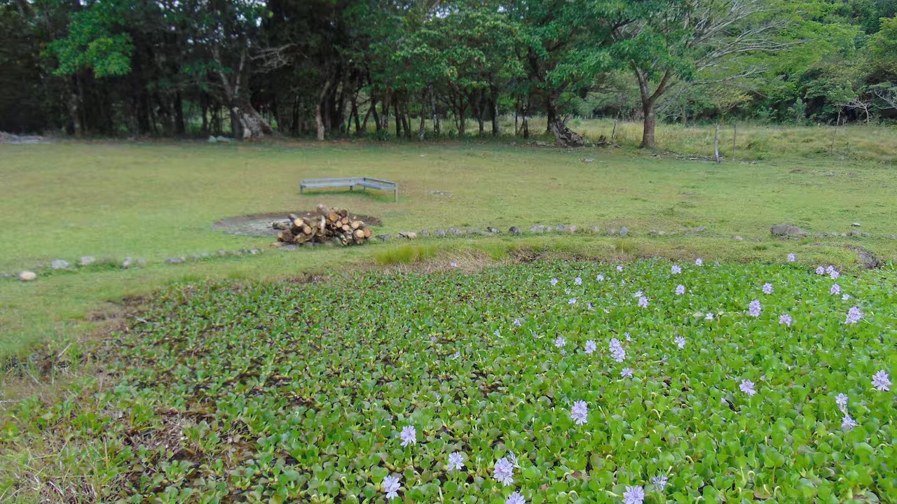 Photo of Outdoor in Piedras