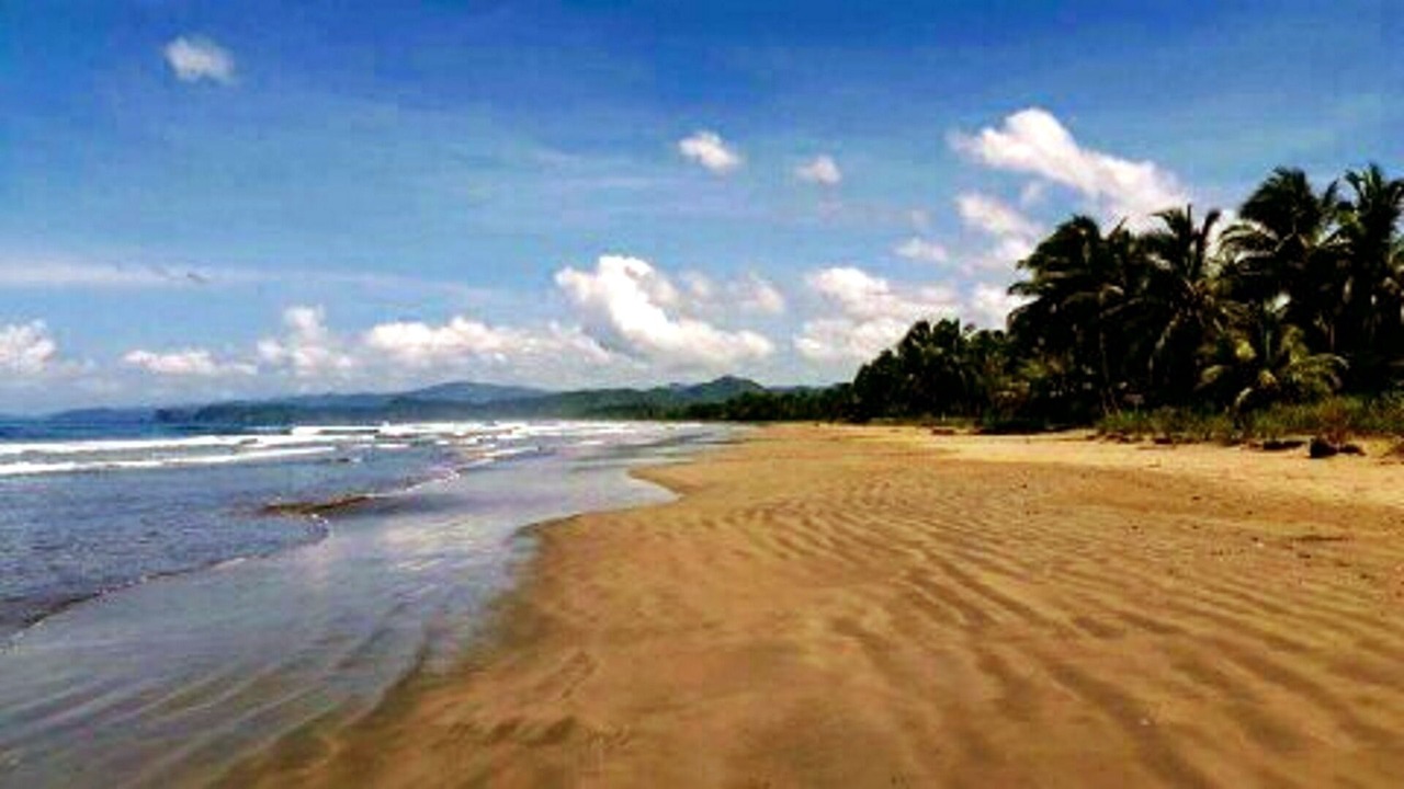 Photo of Others in Playa Coyote
