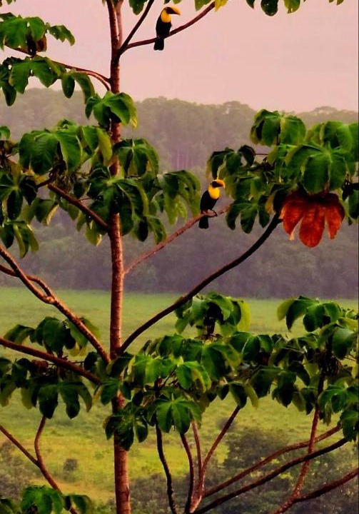 Photo of Others in Hatillo