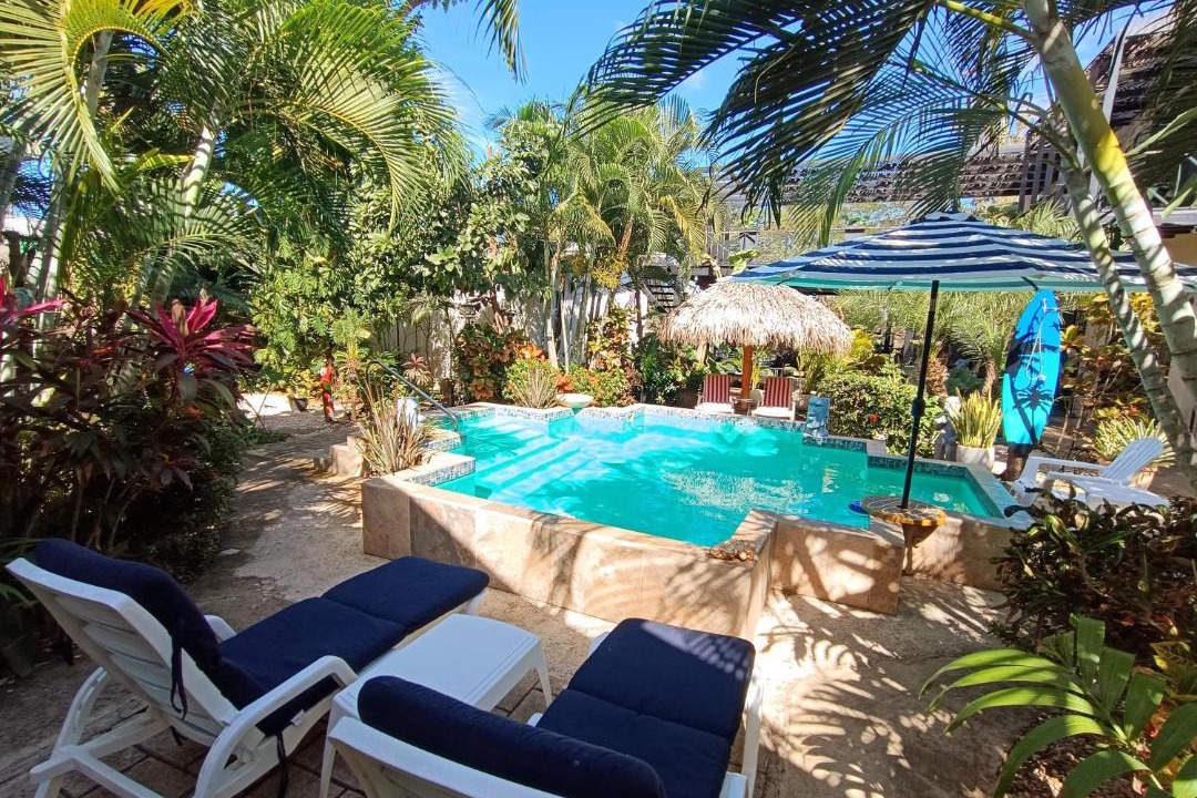 Photo of Others in Tamarindo