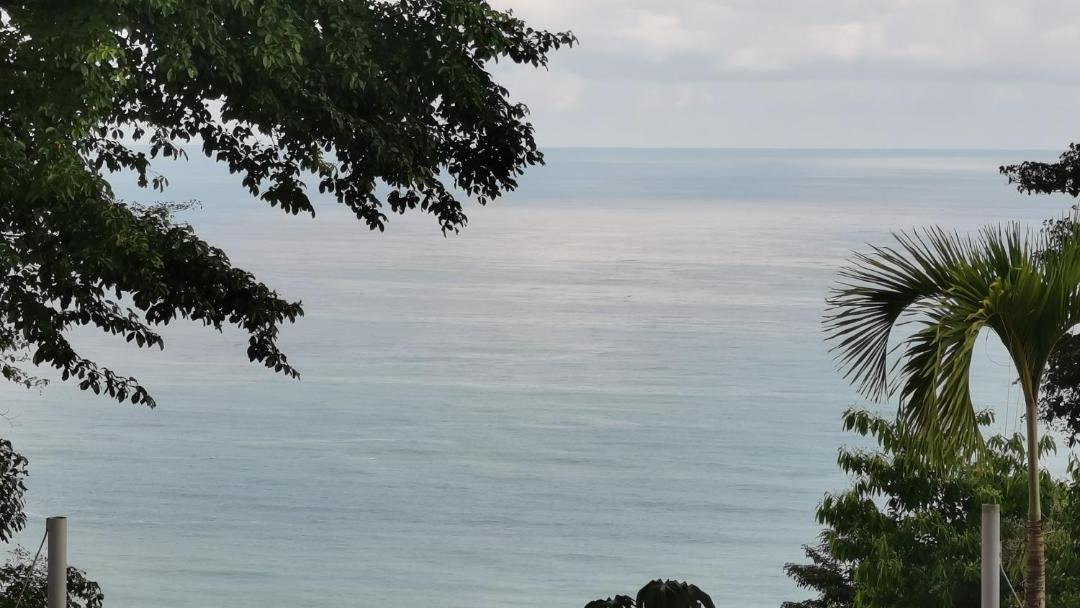Photo of Outdoor in Santa Teresa
