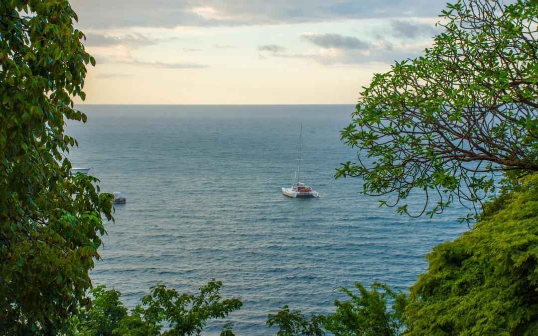 Photo of Others in Playa Ocotal