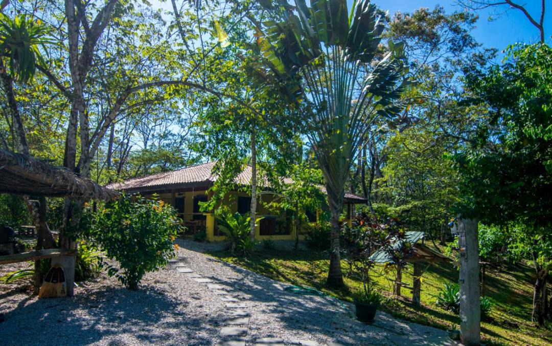 Photo of Outdoor in San Isidro